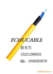 上海易初电线电缆 专业电气设备用电缆产品列表与经营概述